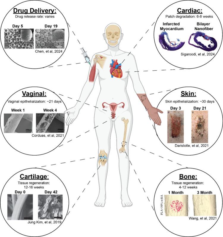 https://cdn.ncbi.nlm.nih.gov/pmc/blobs/0d4f/12369017/7579e71a197b/mz5c00417_0004.jpg