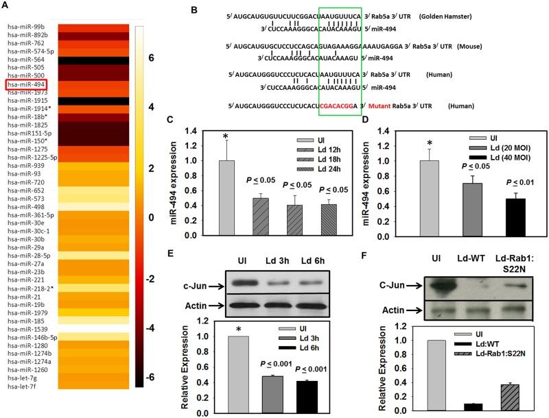 https://cdn.ncbi.nlm.nih.gov/pmc/blobs/0d4f/5501680/40b988c4d91a/ppat.1006459.g002.jpg