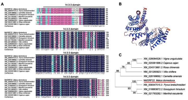 https://cdn.ncbi.nlm.nih.gov/pmc/blobs/0d50/12252163/64ee0b26f107/plants-14-01968-g001.jpg