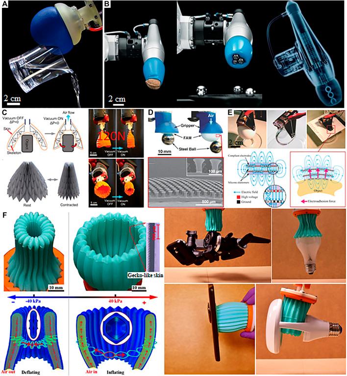 https://cdn.ncbi.nlm.nih.gov/pmc/blobs/0d53/8293914/12544bab4f71/frobt-08-632006-g001.jpg