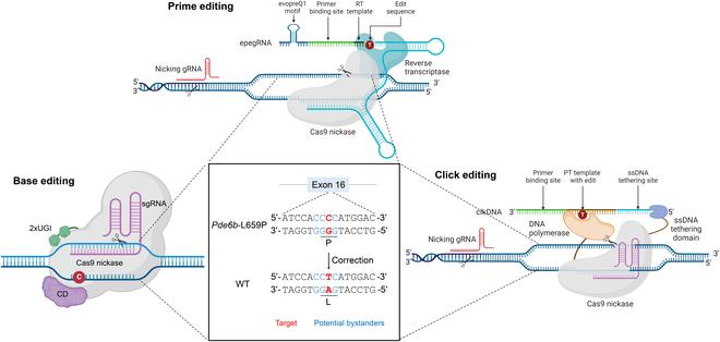 https://cdn.ncbi.nlm.nih.gov/pmc/blobs/0d54/12220932/69e702b505ed/research.0770.fig.001.jpg