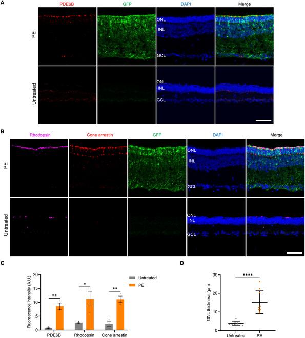 https://cdn.ncbi.nlm.nih.gov/pmc/blobs/0d54/12220932/adab79cb4a37/research.0770.fig.007.jpg