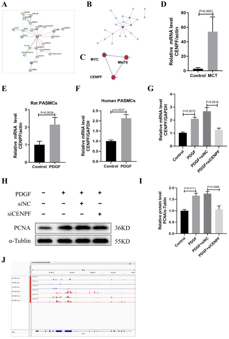 https://cdn.ncbi.nlm.nih.gov/pmc/blobs/0d59/10886831/3a1e9326baf1/biomedicines-12-00364-g004.jpg