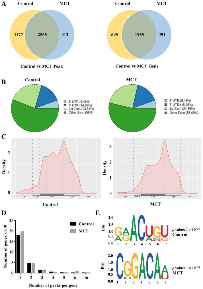https://cdn.ncbi.nlm.nih.gov/pmc/blobs/0d59/10886831/5d0c47c81ce4/biomedicines-12-00364-g001.jpg