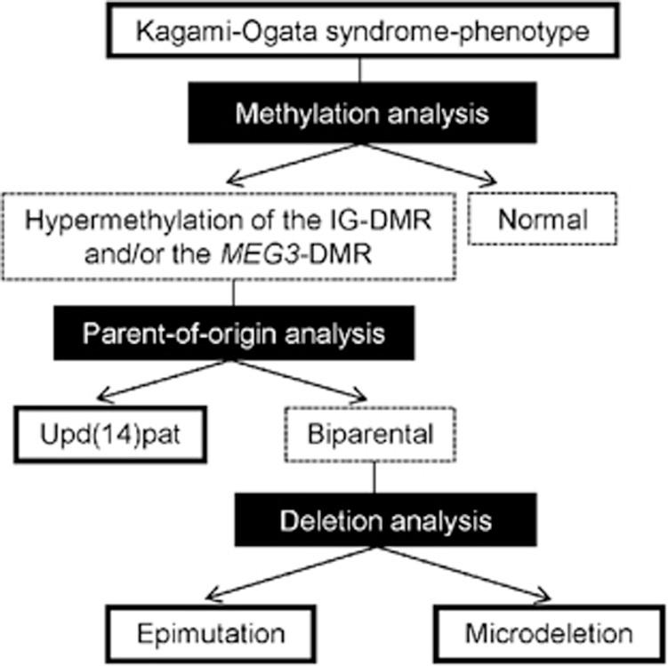 https://cdn.ncbi.nlm.nih.gov/pmc/blobs/0d5a/4771937/8acb352e8ded/jhg2015113f5.jpg
