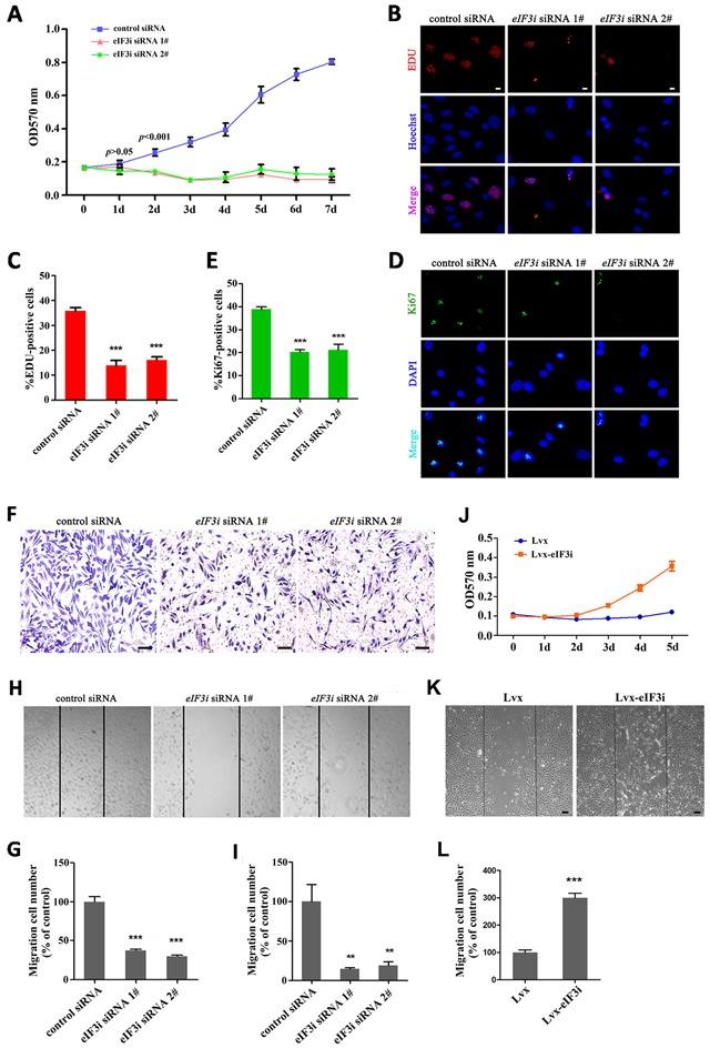 https://cdn.ncbi.nlm.nih.gov/pmc/blobs/0d5d/5386737/b198c56e52d2/oncotarget-08-19968-g003.jpg
