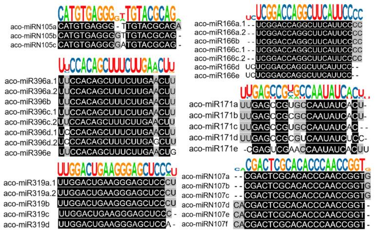 https://cdn.ncbi.nlm.nih.gov/pmc/blobs/0d60/11172604/4da285742ec8/ijms-25-06043-g003.jpg