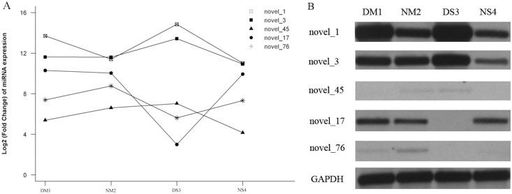 https://cdn.ncbi.nlm.nih.gov/pmc/blobs/0d60/4256440/241a0500b868/pone.0114612.g004.jpg