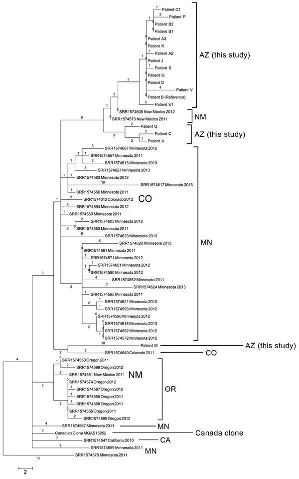 https://cdn.ncbi.nlm.nih.gov/pmc/blobs/0d60/4806960/1f6f9e822e7e/15-1582-F2.jpg