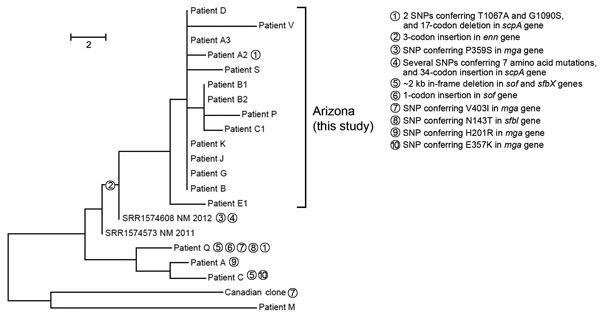 https://cdn.ncbi.nlm.nih.gov/pmc/blobs/0d60/4806960/c082139fa851/15-1582-F1.jpg