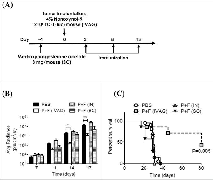https://cdn.ncbi.nlm.nih.gov/pmc/blobs/0d61/4801456/9a40ffeea75b/koni-05-02-1081328-g001.jpg