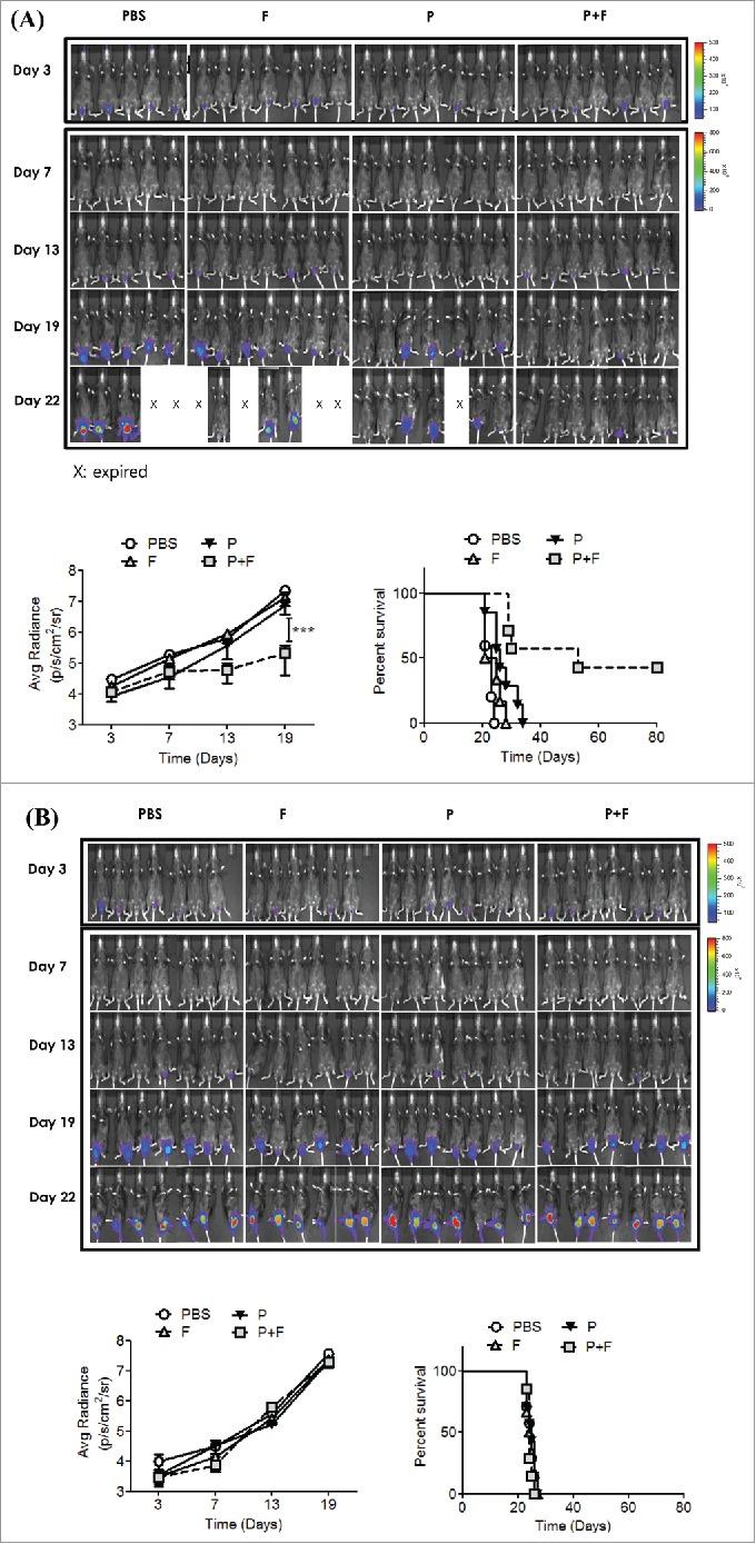 https://cdn.ncbi.nlm.nih.gov/pmc/blobs/0d61/4801456/ba1e216aa6ac/koni-05-02-1081328-g002.jpg