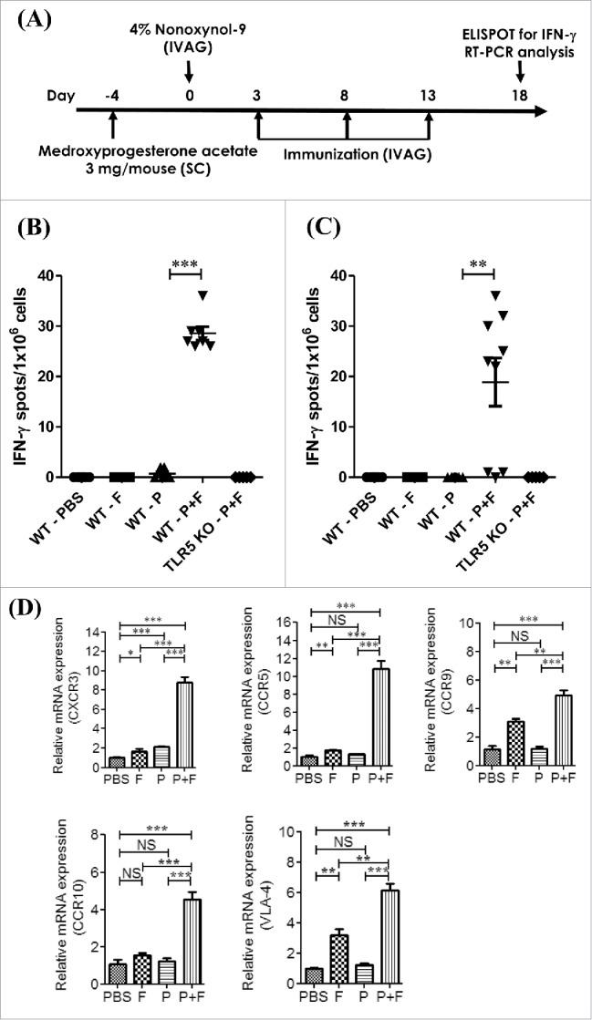 https://cdn.ncbi.nlm.nih.gov/pmc/blobs/0d61/4801456/c8a1a2ac3b68/koni-05-02-1081328-g003.jpg