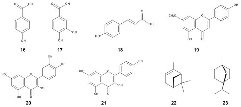 https://cdn.ncbi.nlm.nih.gov/pmc/blobs/0d62/9919186/97ca525d8d50/plants-12-00521-g004.jpg