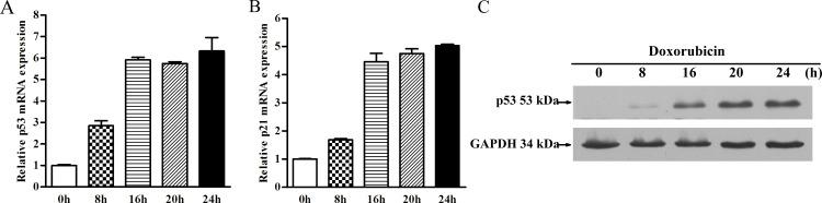 https://cdn.ncbi.nlm.nih.gov/pmc/blobs/0d64/4757586/3df1b5217ba4/pone.0149227.g002.jpg