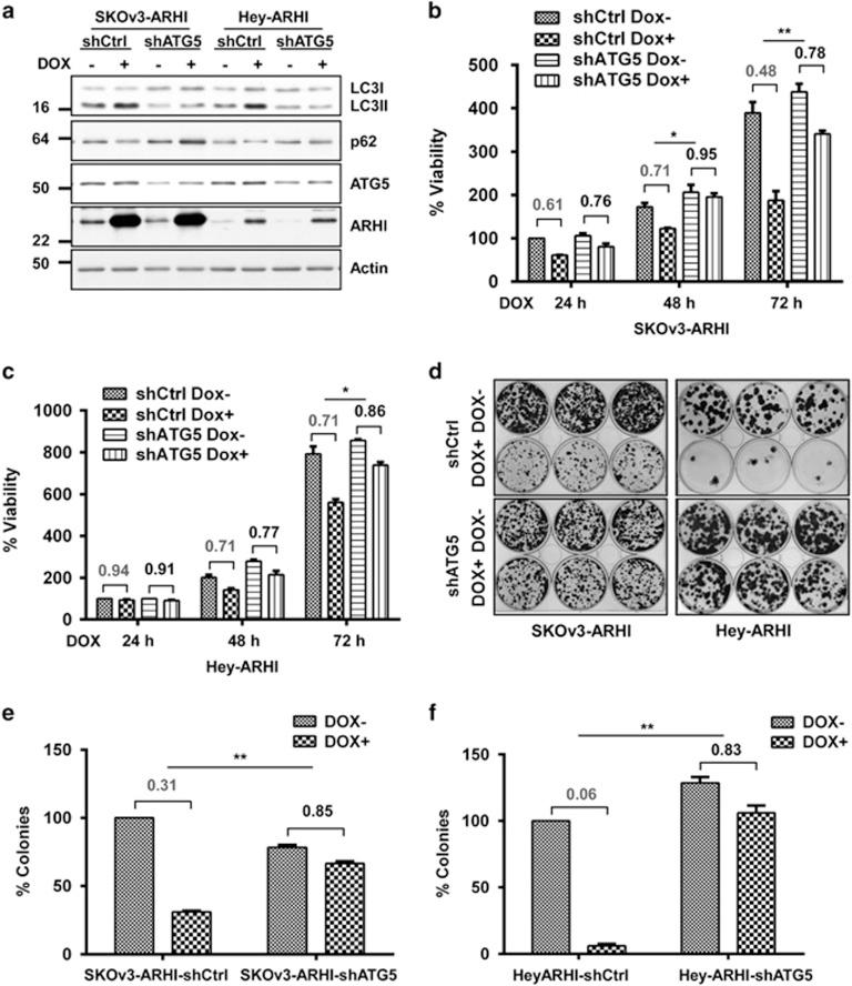 https://cdn.ncbi.nlm.nih.gov/pmc/blobs/0d68/4558501/01c8be28b4d3/cddis2015208f3.jpg
