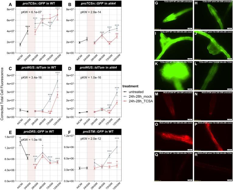 https://cdn.ncbi.nlm.nih.gov/pmc/blobs/0d68/9847488/005826aac576/fpls-13-894208-g004.jpg