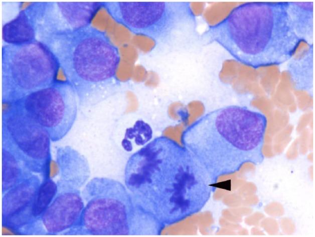 https://cdn.ncbi.nlm.nih.gov/pmc/blobs/0d69/5362004/114201d18596/10.1177_2055116915621582-fig2.jpg