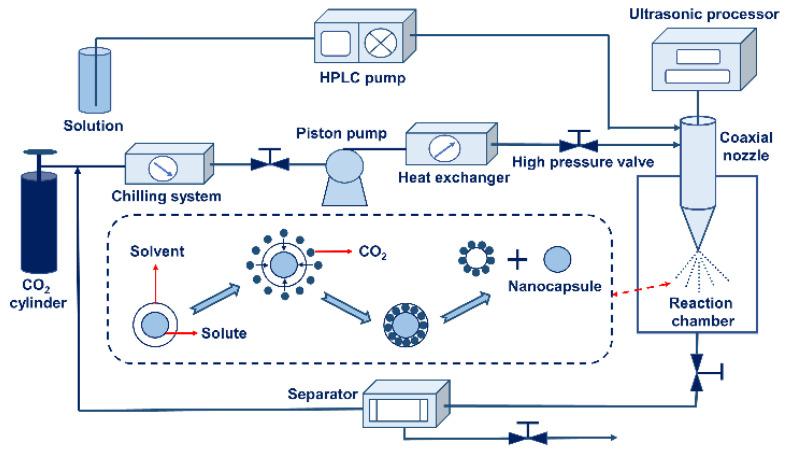https://cdn.ncbi.nlm.nih.gov/pmc/blobs/0d6a/10745493/1f5028a271a0/nanomaterials-13-03125-g005.jpg