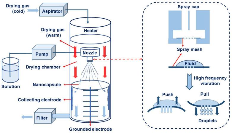 https://cdn.ncbi.nlm.nih.gov/pmc/blobs/0d6a/10745493/50ba0f2a2e6f/nanomaterials-13-03125-g006.jpg