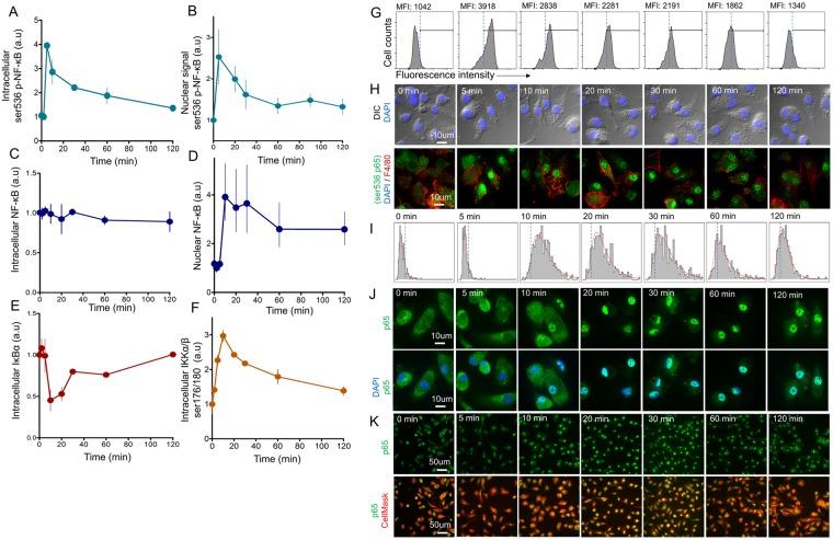 https://cdn.ncbi.nlm.nih.gov/pmc/blobs/0d6a/6418260/06339936d8e9/41598_2018_36052_Fig1_HTML.jpg