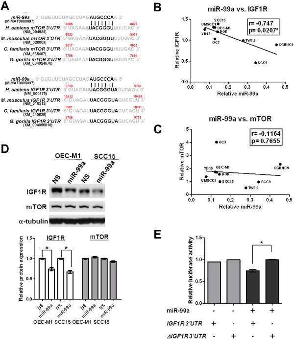 https://cdn.ncbi.nlm.nih.gov/pmc/blobs/0d6b/3895693/9611e7f4597e/1476-4598-13-6-4.jpg
