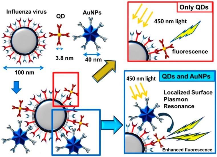 https://cdn.ncbi.nlm.nih.gov/pmc/blobs/0d6b/5677418/26ece4435b3e/sensors-17-02332-g004.jpg