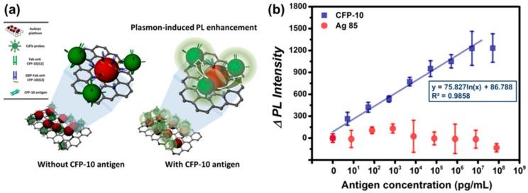https://cdn.ncbi.nlm.nih.gov/pmc/blobs/0d6b/5677418/6733fa961197/sensors-17-02332-g005.jpg