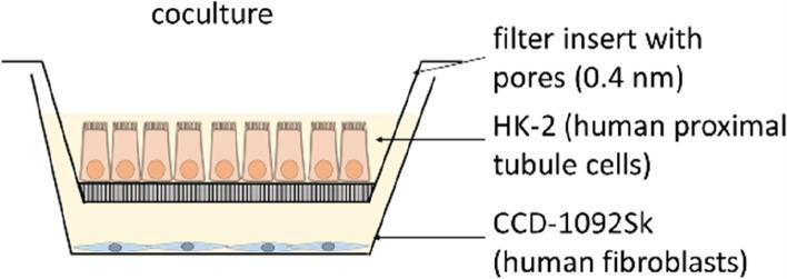 https://cdn.ncbi.nlm.nih.gov/pmc/blobs/0d6c/10893741/523ed4cea04a/12964_2024_1527_Fig2_HTML.jpg