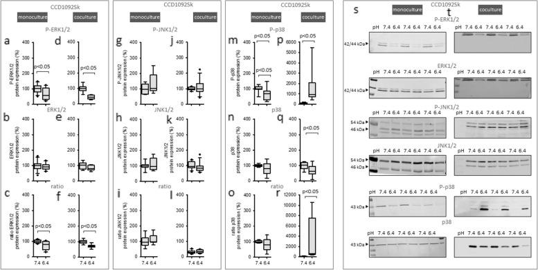 https://cdn.ncbi.nlm.nih.gov/pmc/blobs/0d6c/10893741/9257e54358ed/12964_2024_1527_Fig7_HTML.jpg