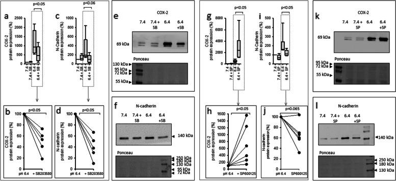 https://cdn.ncbi.nlm.nih.gov/pmc/blobs/0d6c/10893741/f07b6e4f3822/12964_2024_1527_Fig9_HTML.jpg