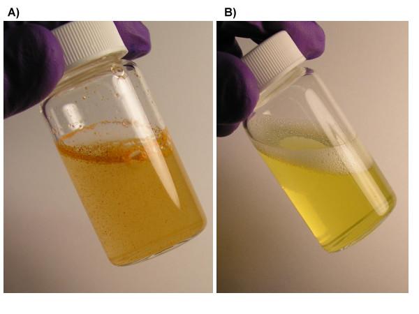 https://cdn.ncbi.nlm.nih.gov/pmc/blobs/0d6c/1868037/ea4a62e6ace4/1477-3155-5-3-7.jpg