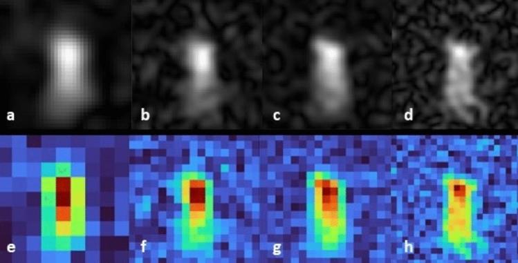 https://cdn.ncbi.nlm.nih.gov/pmc/blobs/0d6d/10794400/1931b76c418b/41598_2024_51454_Fig3_HTML.jpg