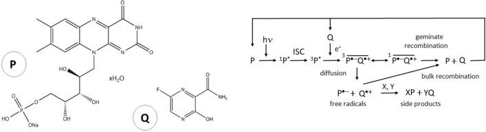 https://cdn.ncbi.nlm.nih.gov/pmc/blobs/0d6d/10794400/b88226cfe81b/41598_2024_51454_Fig1_HTML.jpg