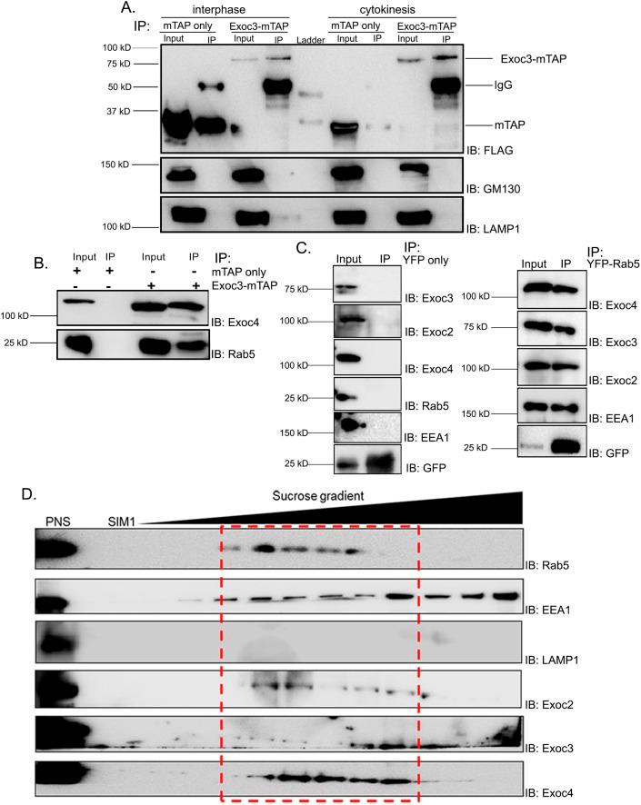 https://cdn.ncbi.nlm.nih.gov/pmc/blobs/0d6d/6679584/a428ee059b06/joces-132-226001-g2.jpg