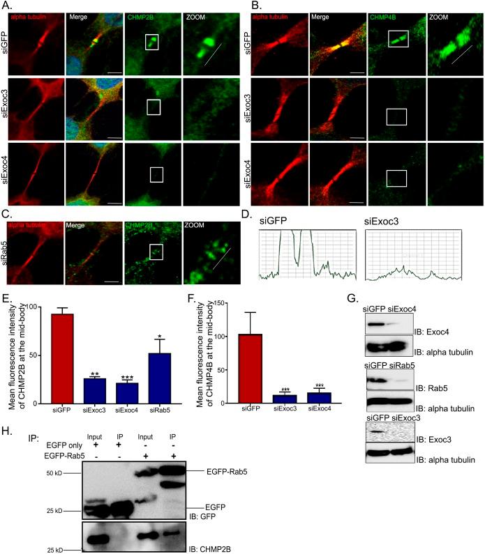 https://cdn.ncbi.nlm.nih.gov/pmc/blobs/0d6d/6679584/f4b375f0354c/joces-132-226001-g5.jpg