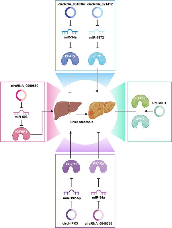 https://cdn.ncbi.nlm.nih.gov/pmc/blobs/0d6e/11374765/3373d4288ee0/MCO2-5-e699-g006.jpg