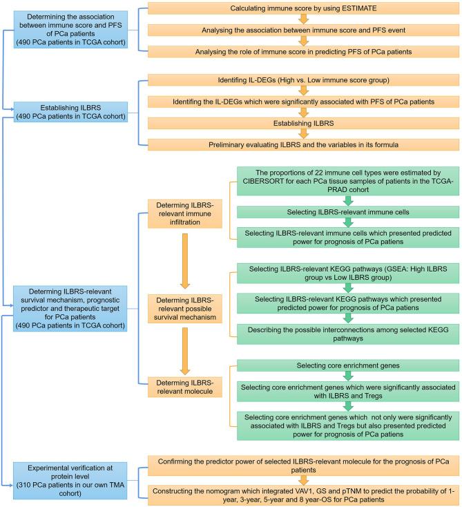https://cdn.ncbi.nlm.nih.gov/pmc/blobs/0d6e/8602809/a94b04ea4aba/fonc-11-761643-g001.jpg