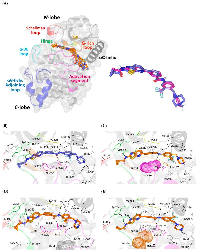 https://cdn.ncbi.nlm.nih.gov/pmc/blobs/0d6f/10744719/07f9d53e057e/jpm-13-01648-g004a.jpg