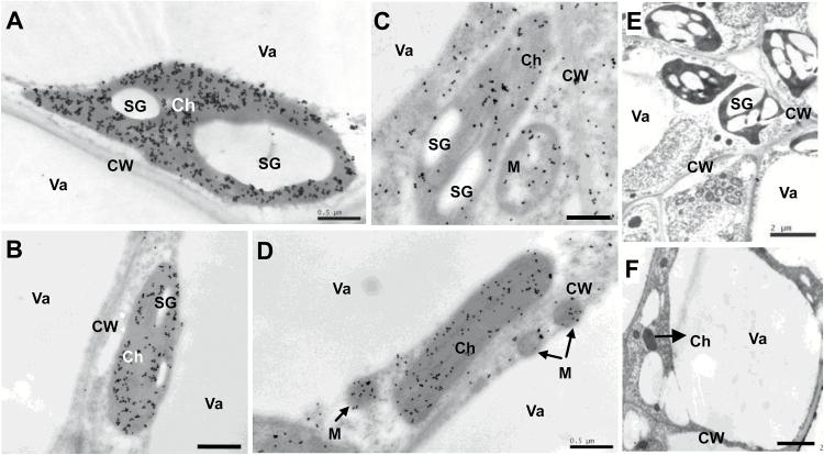 https://cdn.ncbi.nlm.nih.gov/pmc/blobs/0d71/5441898/b83ec74a8a81/erx03405.jpg