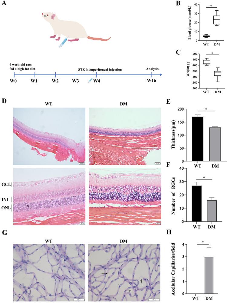 https://cdn.ncbi.nlm.nih.gov/pmc/blobs/0d74/12077687/3b359c4222ae/pone.0312791.g002.jpg