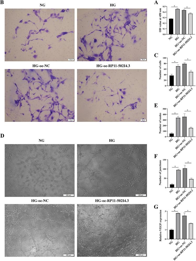 https://cdn.ncbi.nlm.nih.gov/pmc/blobs/0d74/12077687/c520c1e2d847/pone.0312791.g007.jpg