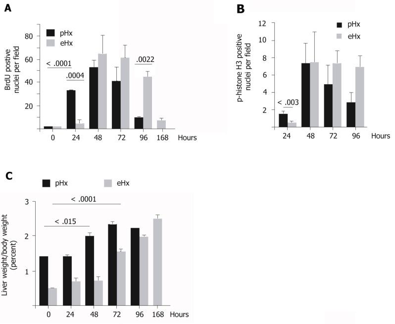 https://cdn.ncbi.nlm.nih.gov/pmc/blobs/0d75/7772727/018e8459d60c/WJH-12-1198-g003.jpg