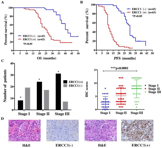 https://cdn.ncbi.nlm.nih.gov/pmc/blobs/0d76/5367362/6980fa6cf8e1/OR-37-04-1989-g03.jpg