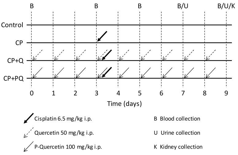 https://cdn.ncbi.nlm.nih.gov/pmc/blobs/0d76/7828436/0b93496c2a53/ijms-22-00729-g006.jpg