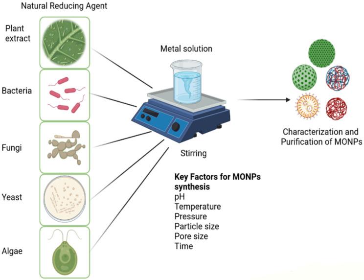 https://cdn.ncbi.nlm.nih.gov/pmc/blobs/0d7a/8399390/f0c10b1e54c6/plants-10-01730-g001.jpg