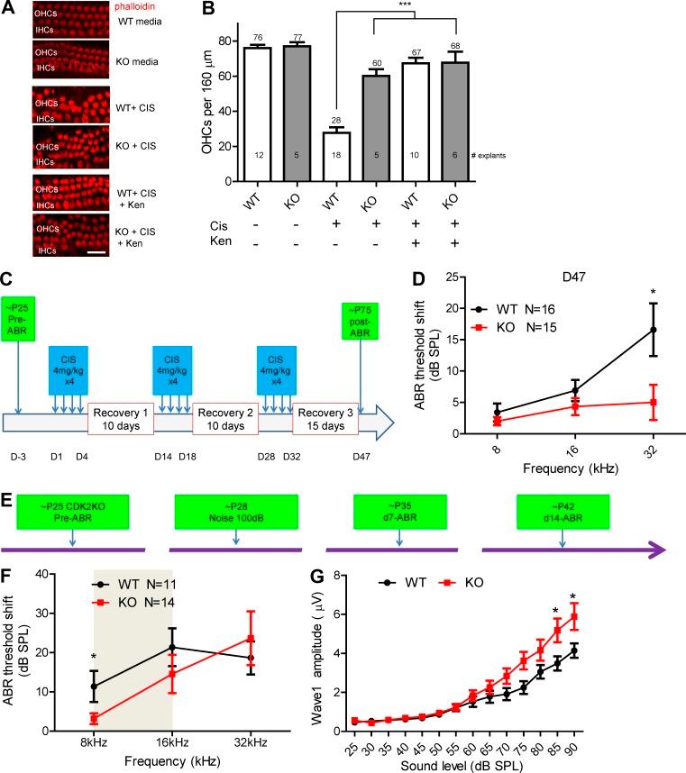 https://cdn.ncbi.nlm.nih.gov/pmc/blobs/0d7b/5881471/bca62f2b24a2/JEM_20172246_Fig5.jpg