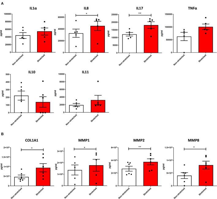 https://cdn.ncbi.nlm.nih.gov/pmc/blobs/0d7d/9259931/67aee2854039/fcvm-09-878268-g0004.jpg