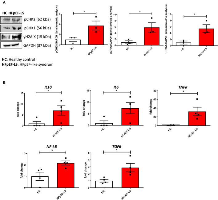 https://cdn.ncbi.nlm.nih.gov/pmc/blobs/0d7d/9259931/ca922703d82d/fcvm-09-878268-g0002.jpg