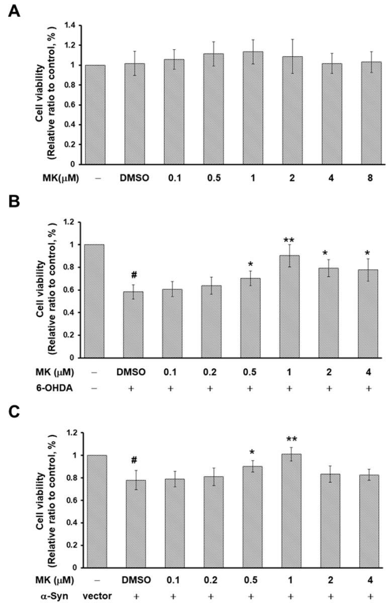 https://cdn.ncbi.nlm.nih.gov/pmc/blobs/0d7e/7352553/ddc81aa588d8/ijms-21-04455-g008.jpg